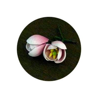 Цветы из мастики  11927 В( 36 шт)